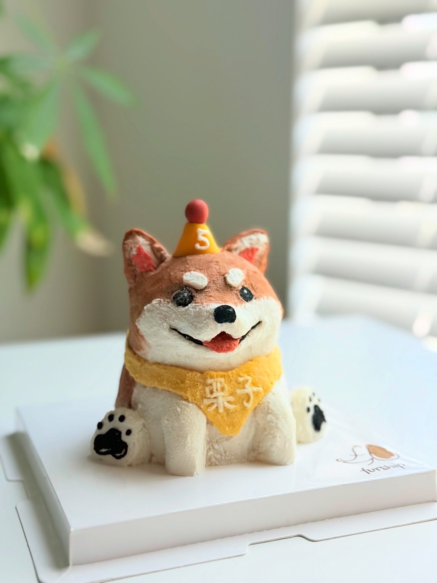 Furship Designer Dog Cakes