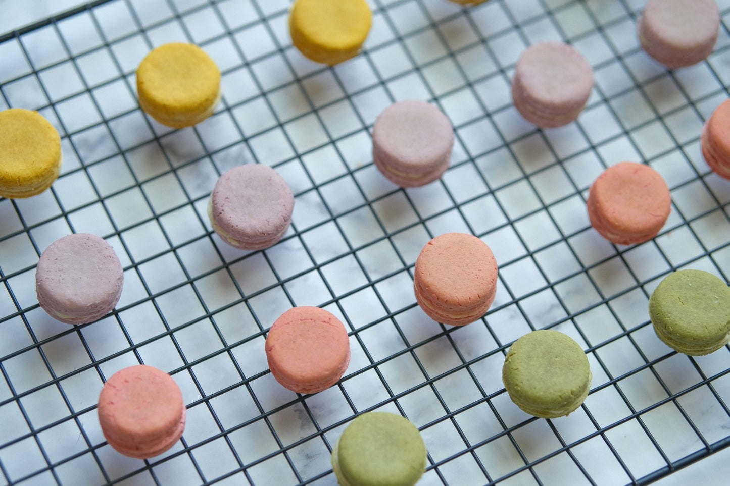 Mini Macaron Dog Treats Cat Treats, handmade healthy pet treats (12pcs Mixed Color)