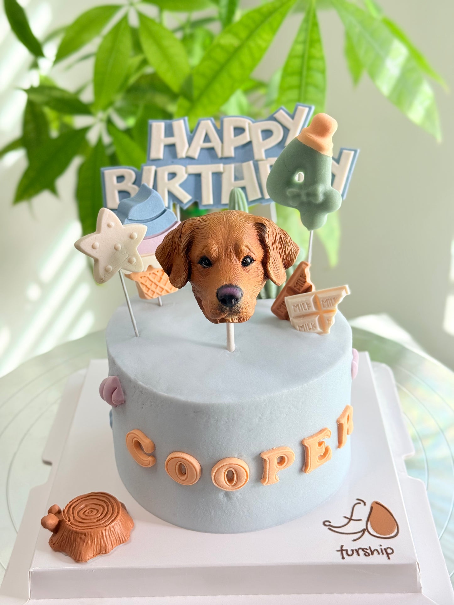 Furship Fondant Theme Dog Cakes