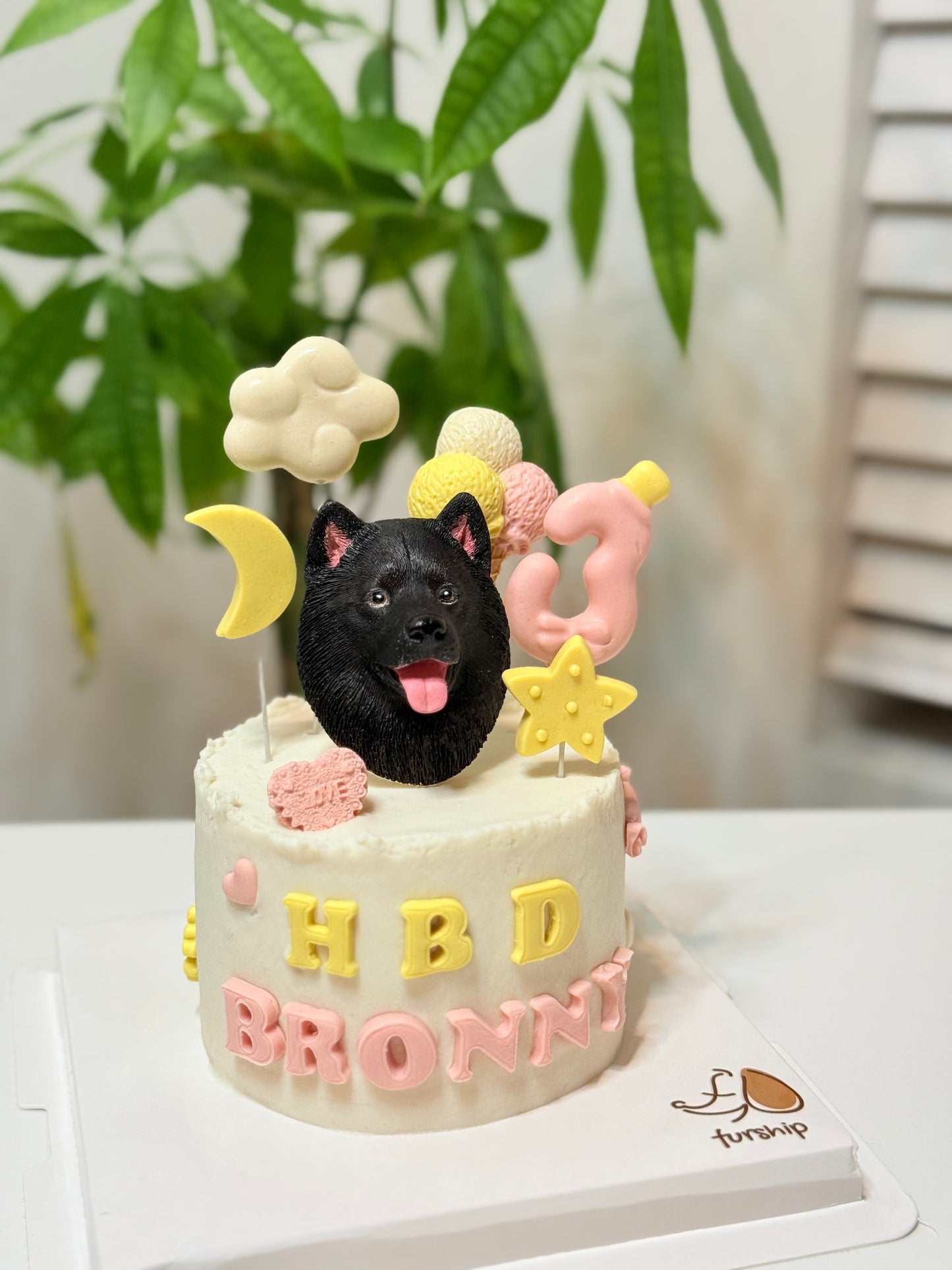 Furship Fondant Theme Dog Cakes