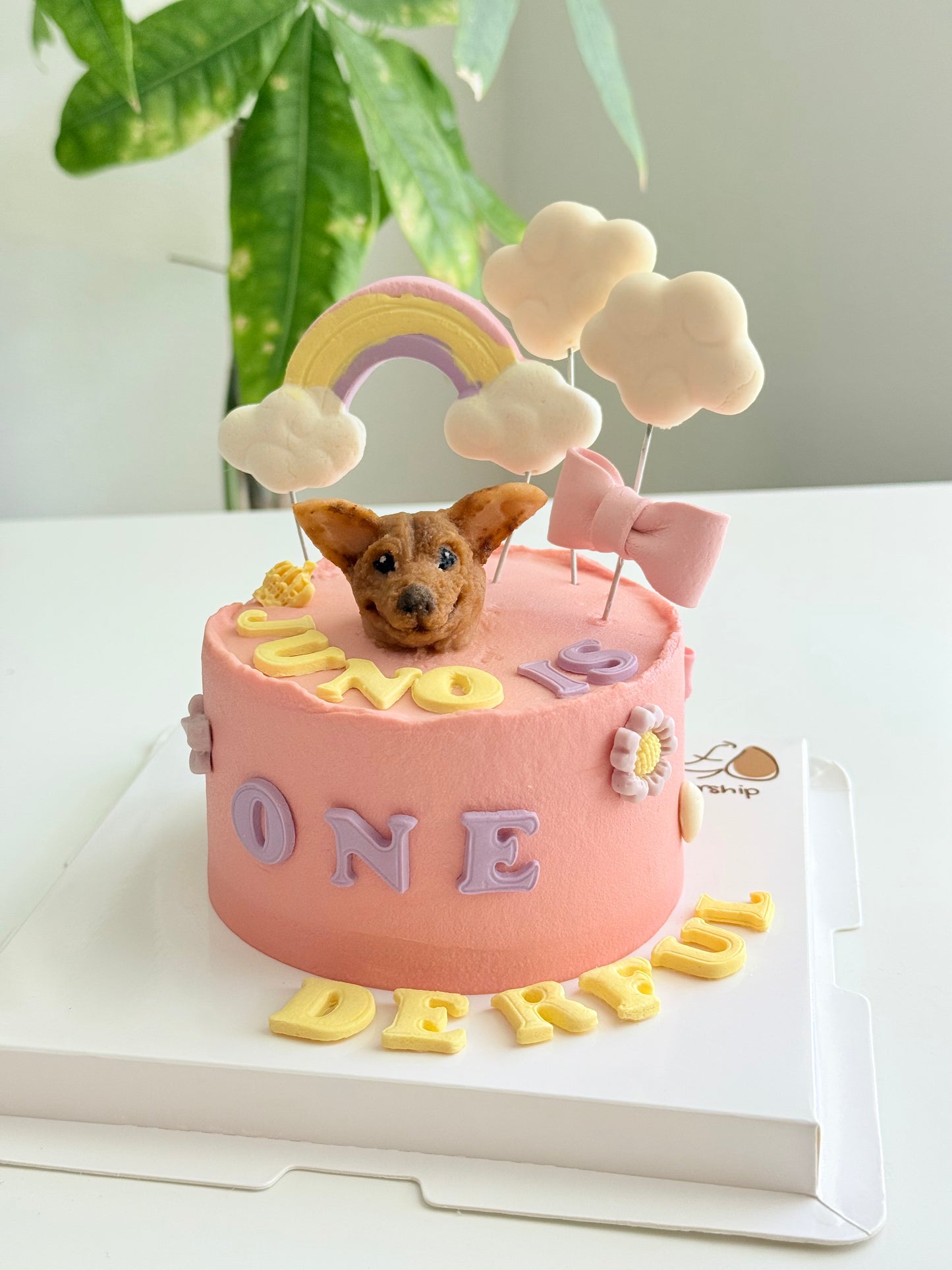 Furship Fondant Theme Dog Cakes