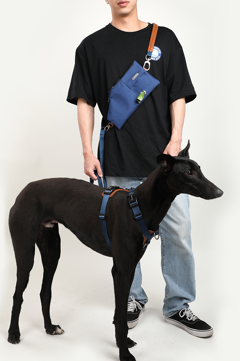 H Shape Dog Harness & Leash Set with Cross Body Bag