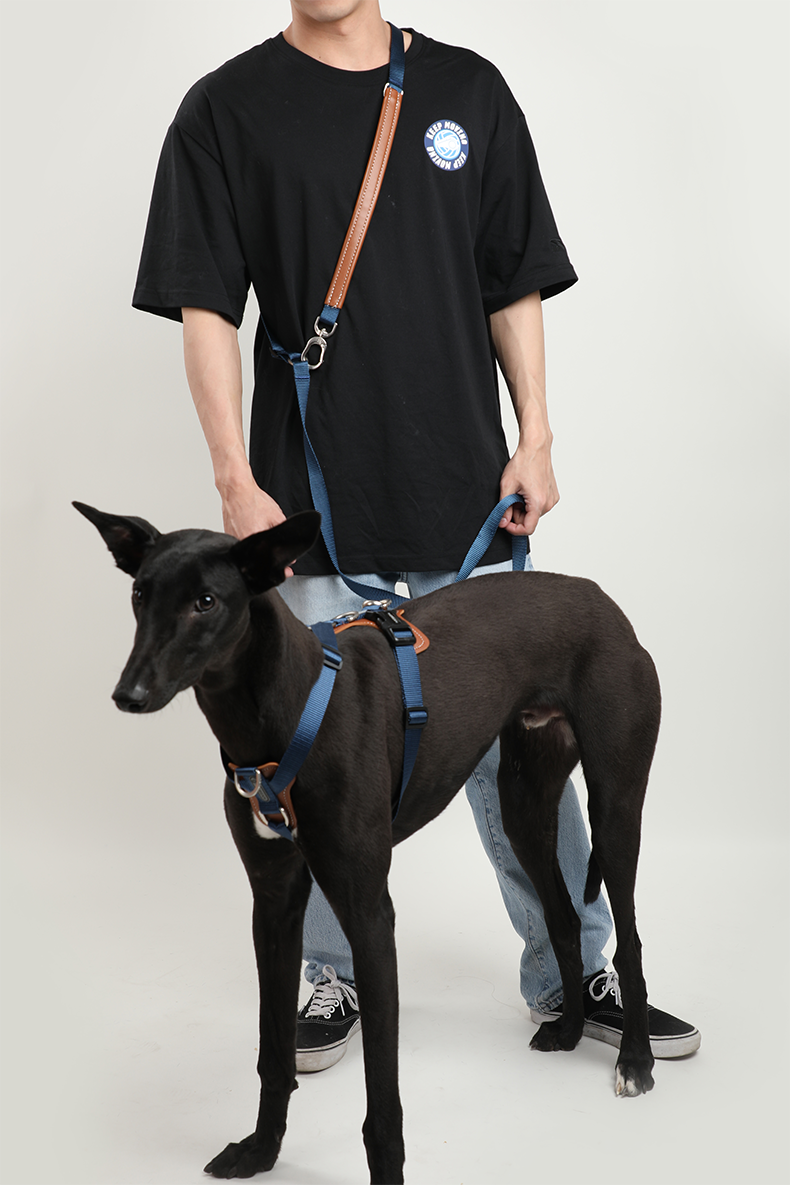 H Shape Dog Harness & Leash Set with Cross Body Bag