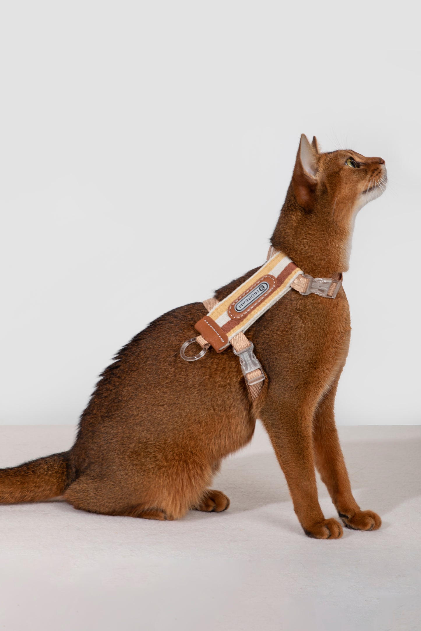 Cat Harness & Leash Set