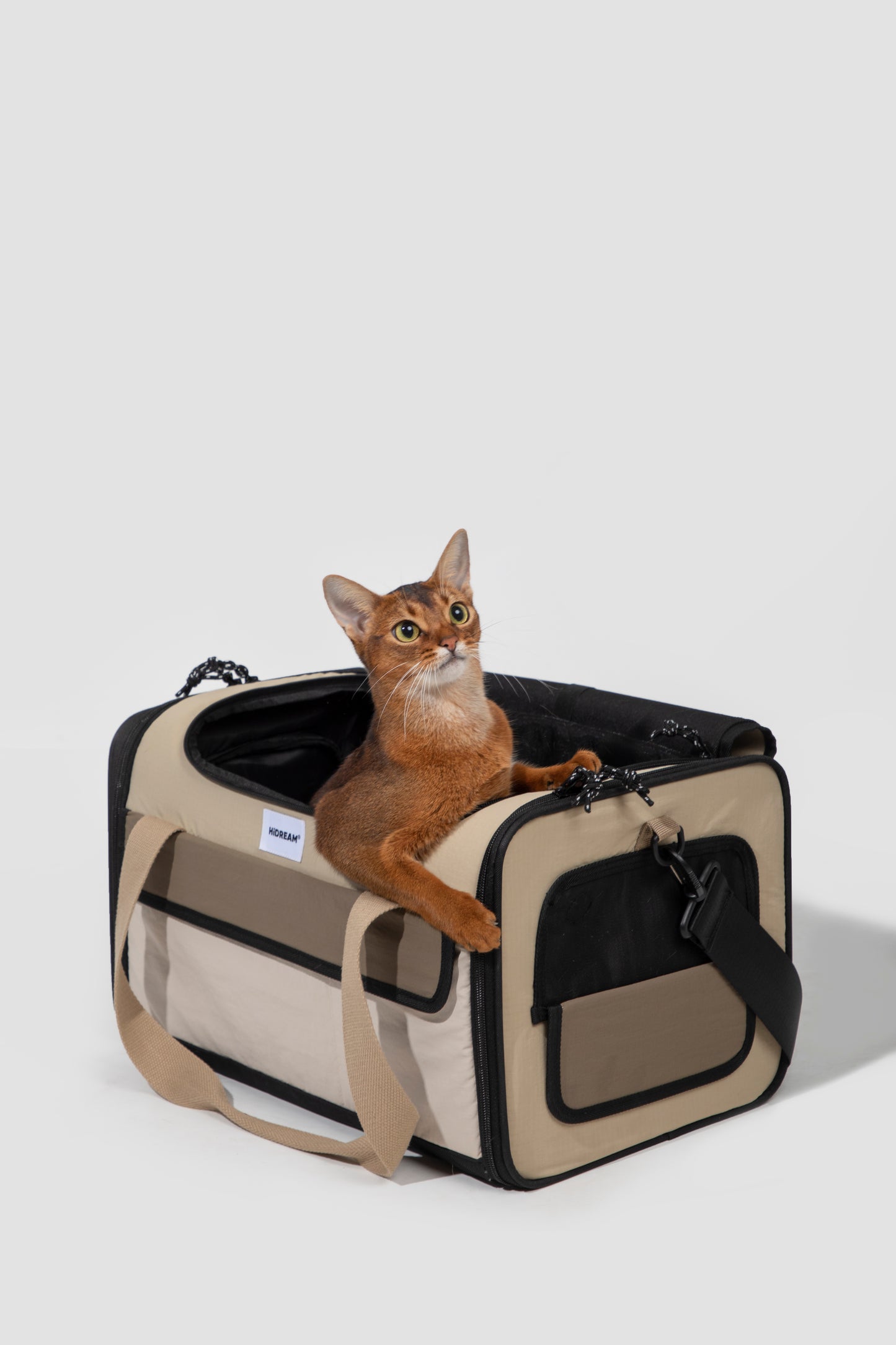 Deluxe Airline Approved Pet Carrier Bag