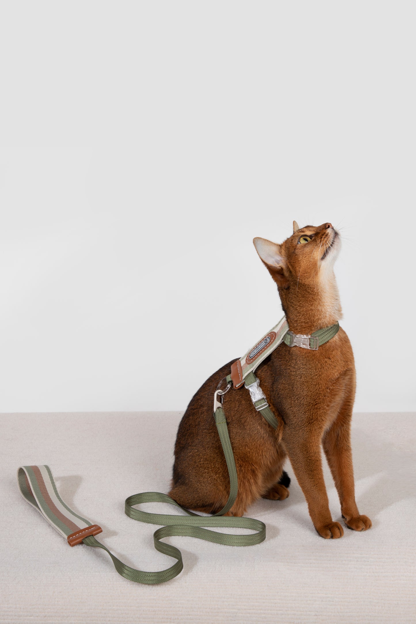 Cat Harness & Leash Set