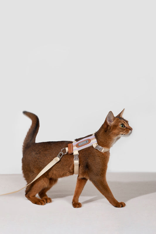 Cat Harness & Leash Set