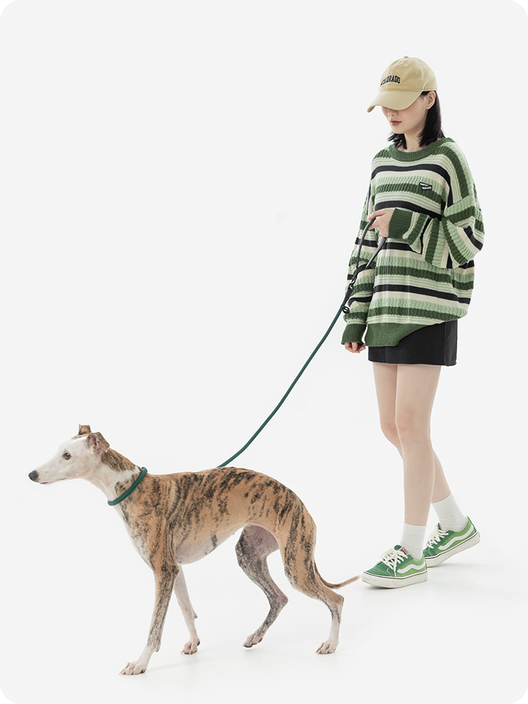 All-in-One Dog P Leash