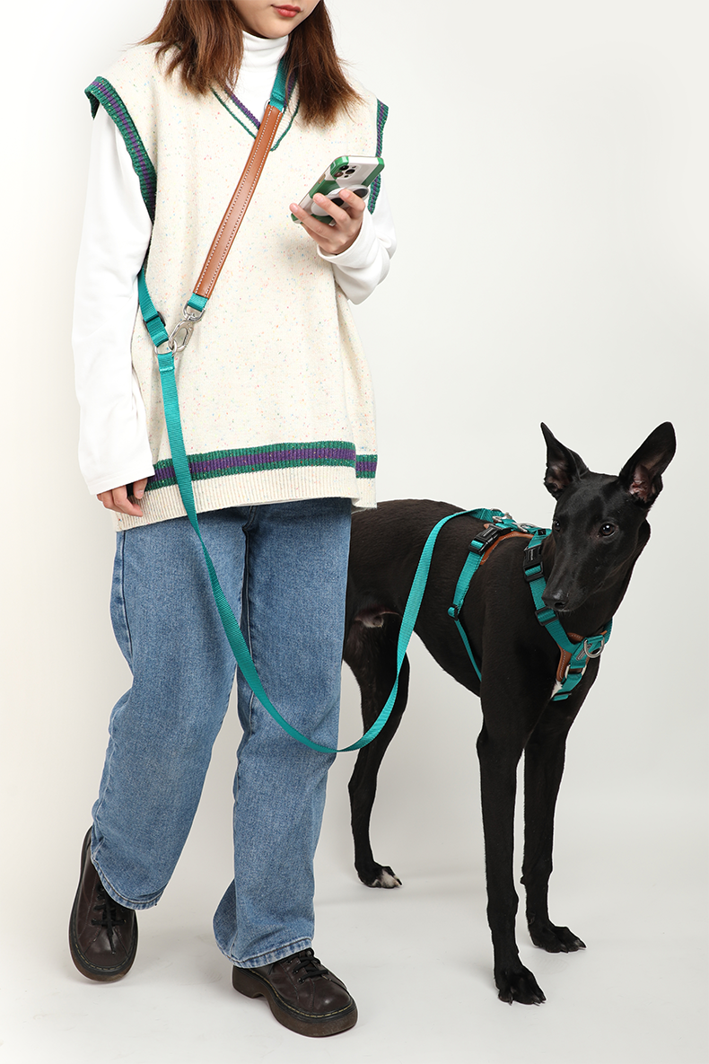 H Shape Dog Harness & Leash Set with Cross Body Bag