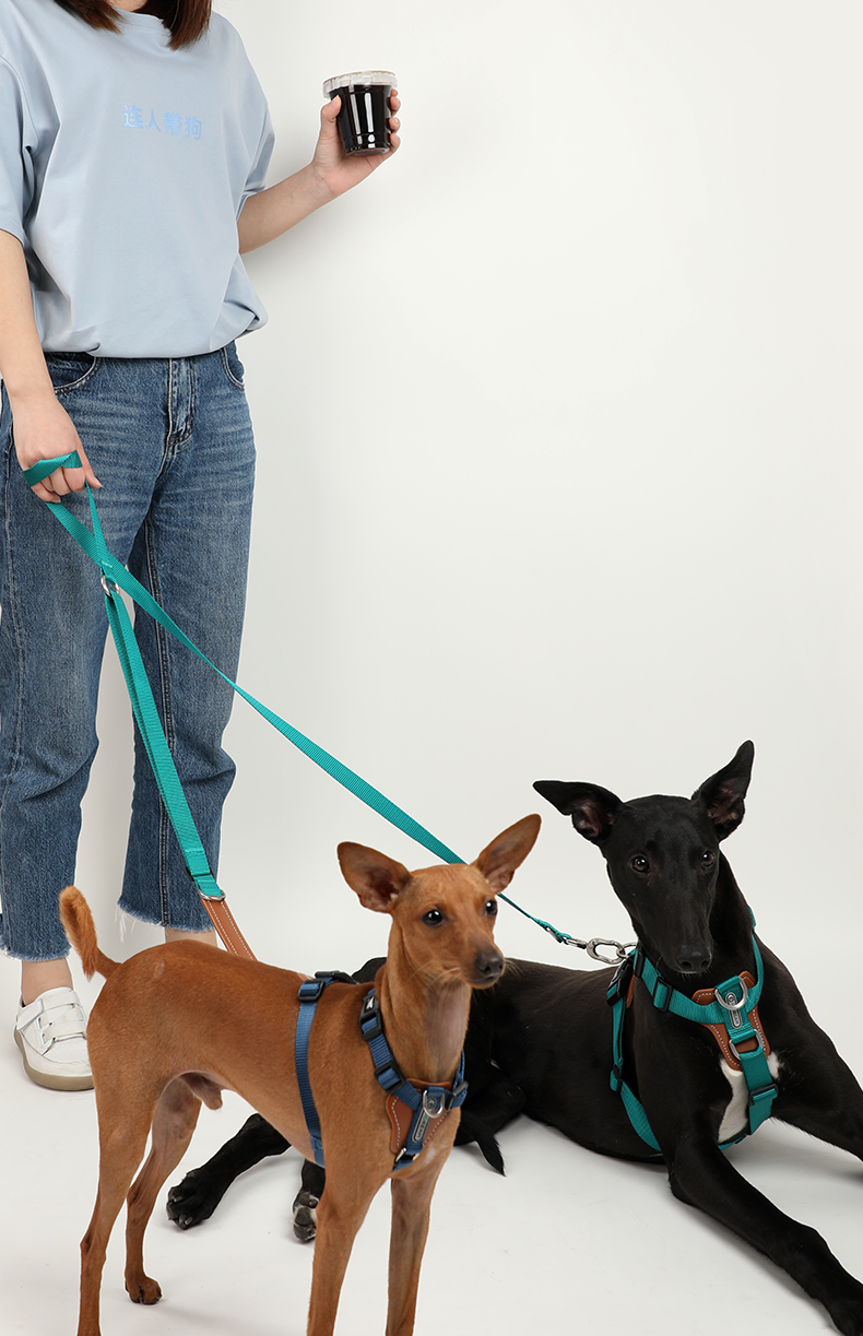 H Shape Dog Harness & Leash Set with Cross Body Bag