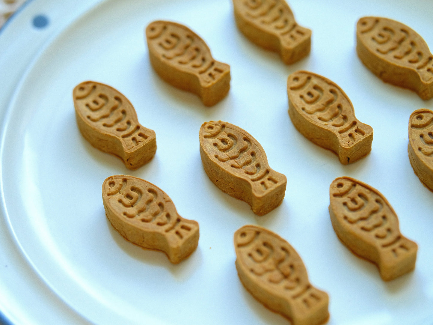 Natural Homemade Pumpkin Chicken Biscuits Dog Treat