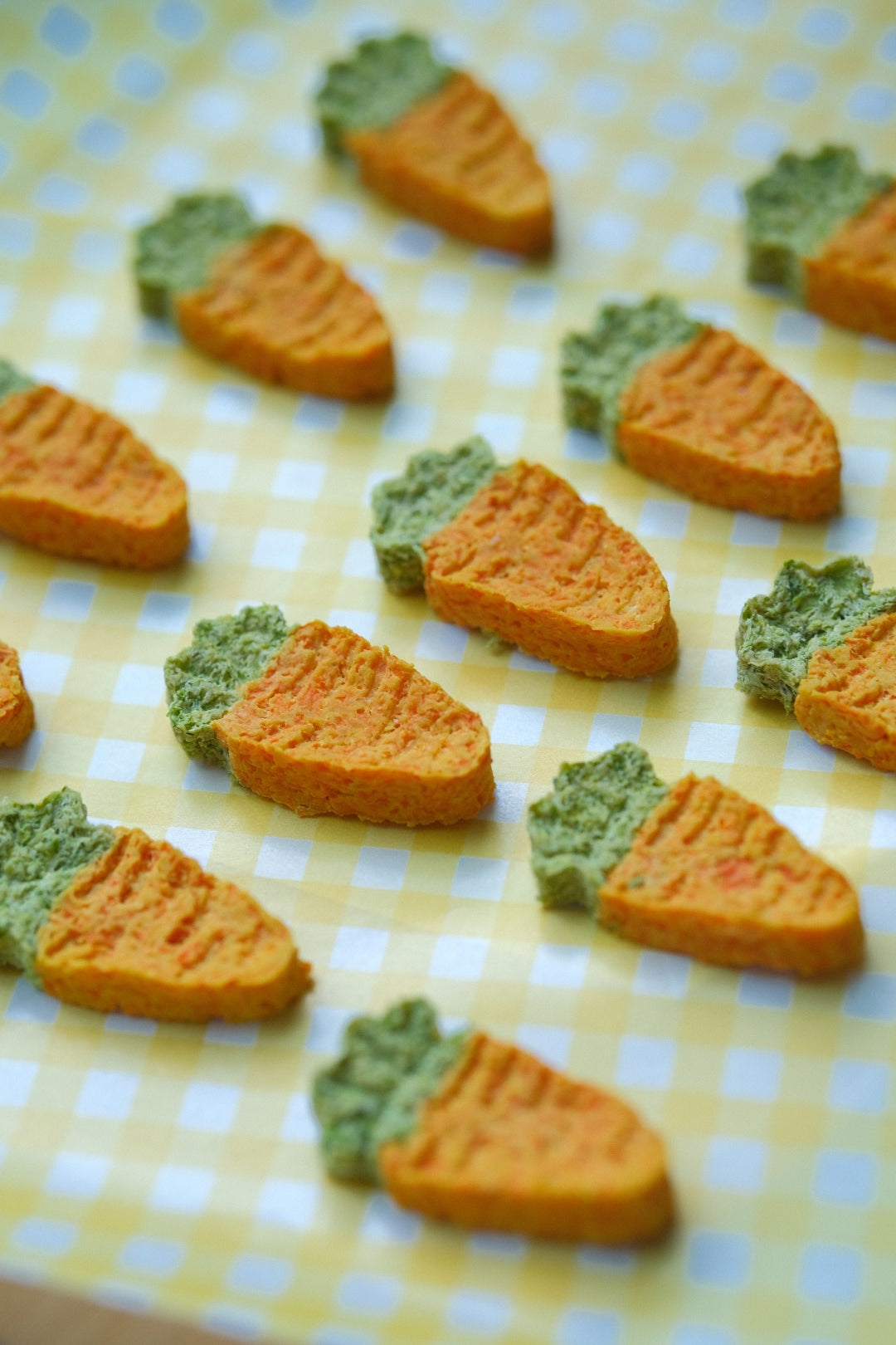 Healthy Carrot Chicken Dog Treats (5pc)