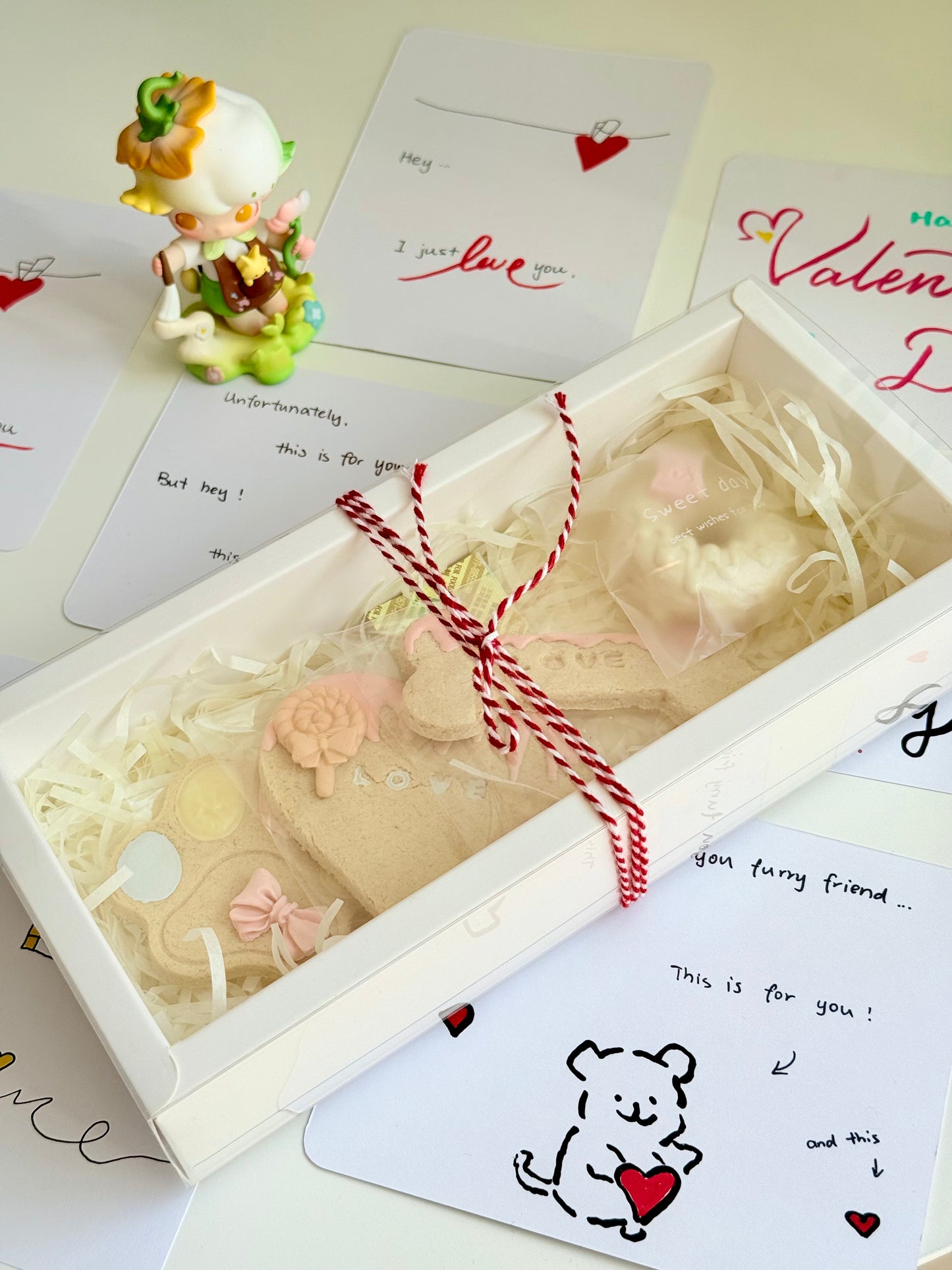 Valentine’s gift for her pet / his pet Valentine's box with custom design pet treat dog treat