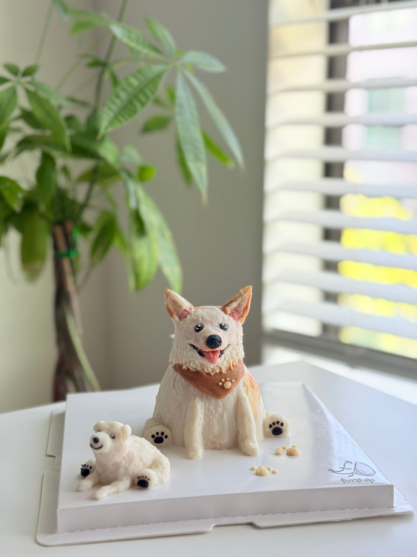 Furship Designer Dog Cakes