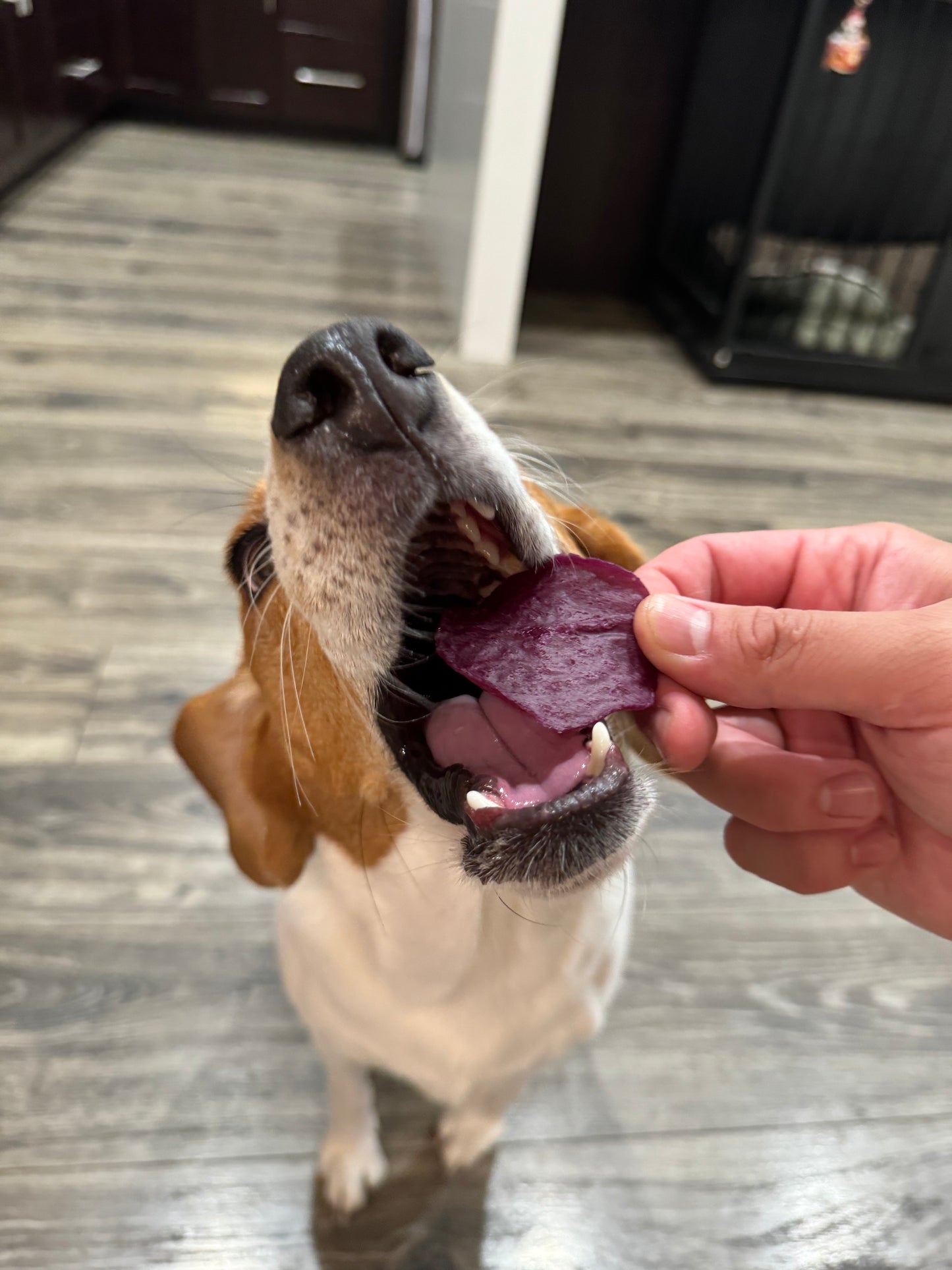 Purple Sweet Potato Chips Dog Treats Cat Treats (2oz)