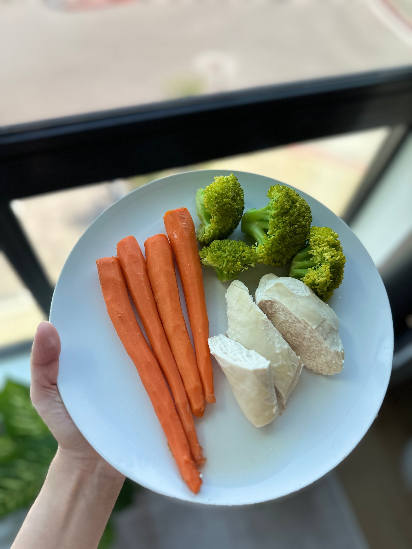 Healthy Carrot Chicken Dog Treats (5pc)