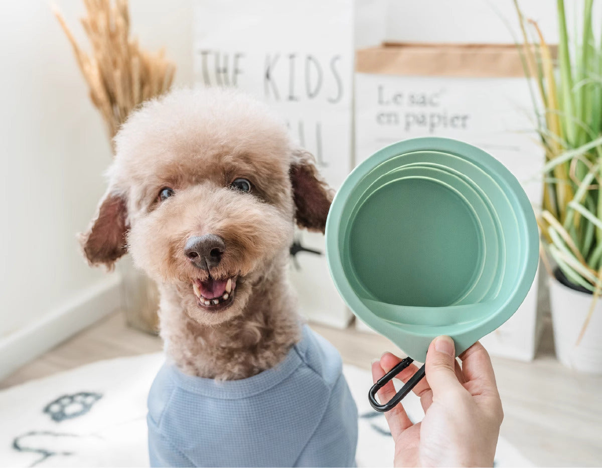 Collapsible Dog Bowl Portable Water Bowl for Dogs and Cats