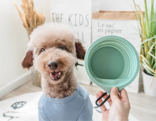 Collapsible Dog Bowl Portable Water Bowl for Dogs and Cats