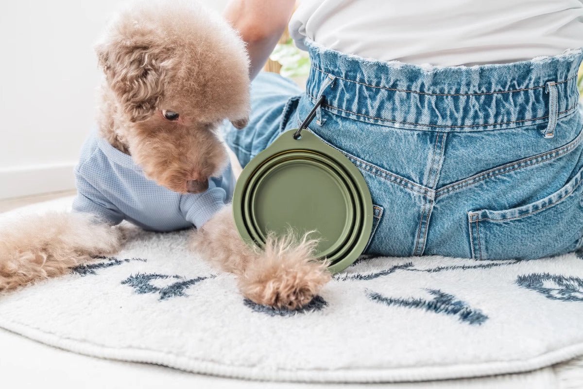 Collapsible Dog Bowl Portable Water Bowl for Dogs and Cats