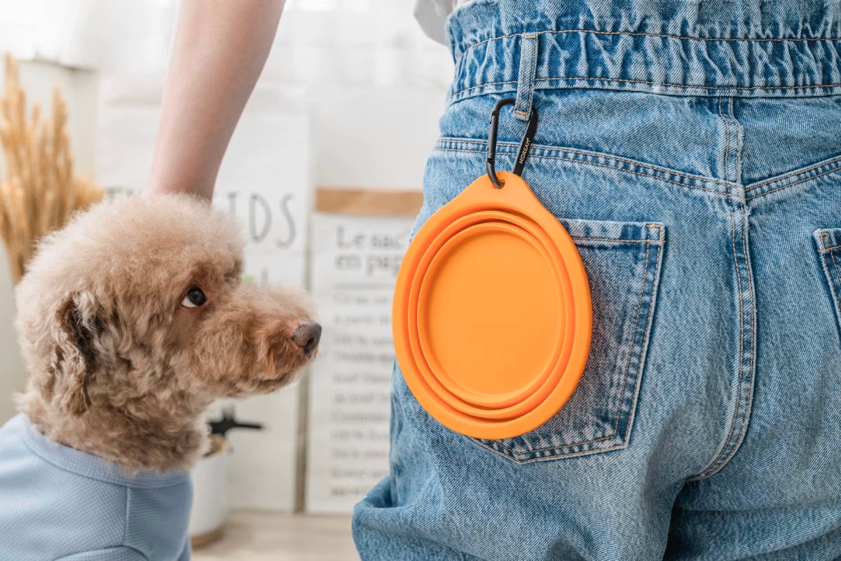 Collapsible Dog Bowl Portable Water Bowl for Dogs and Cats