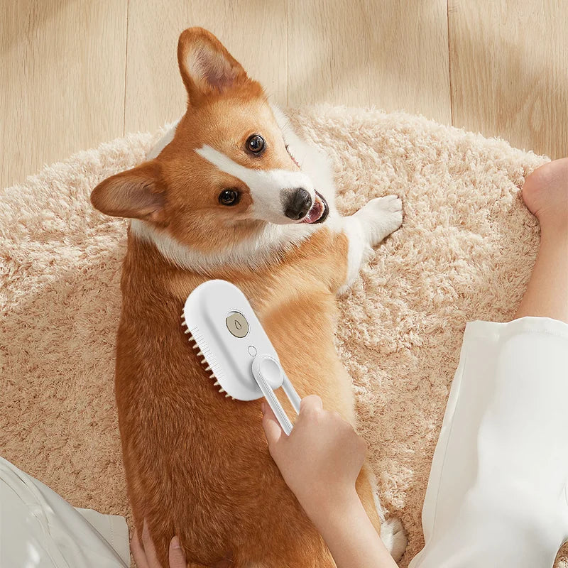 Electric Steamy Cat/Dog Brush