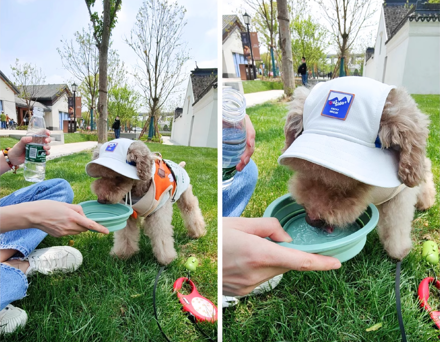 Collapsible Dog Bowl Portable Water Bowl for Dogs and Cats